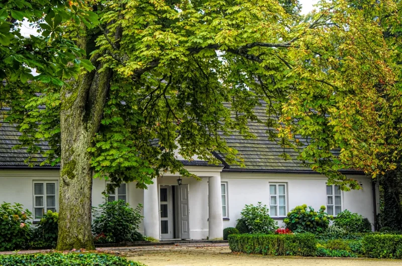 Żelazowa wola, Fryderyk chopin