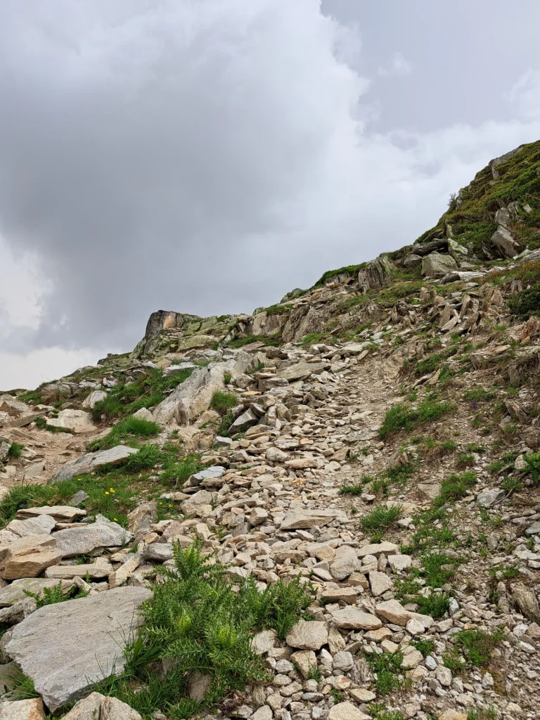 2024-Aletschin jäätikkö2